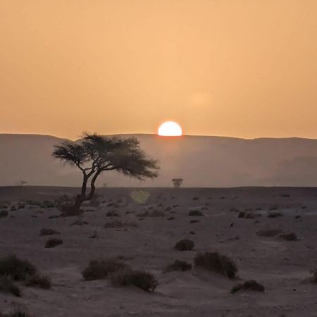 Mhamid Sahara Camp - Mhamid El Ghizlane Otel M'Hamid Dış mekan fotoğraf